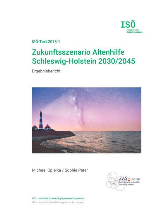 Cover for Opielka · Zukunftsszenario Altenhilfe Sch (Book)