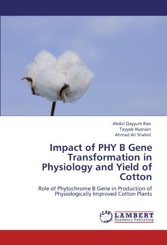 Cover for Ahmad Ali Shahid · Impact of Phy B Gene Transformation in Physiology and Yield of Cotton: Role of Phytochrome B Gene in Production of Physiologically Improved Cotton Plants (Paperback Book) (2011)