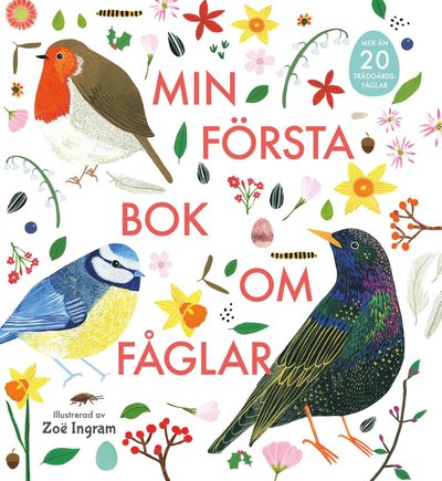 Cover for Zoë Ingram · Min första bok om fåglar (Hardcover Book) (2021)