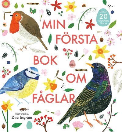 Cover for Zoë Ingram · Min första bok om fåglar (Bound Book) (2021)
