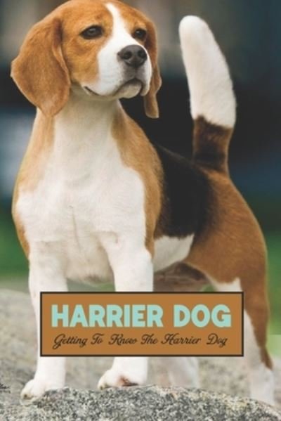 Harrier Dog: Getting To Know The Harrier Dog - Gosnell Mollie - Bücher - Independently Published - 9798422932917 - 25. Februar 2022