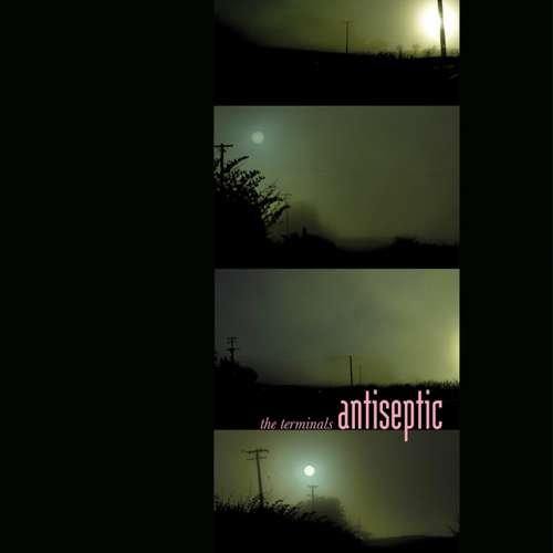Cover for Ternimals · Antiseptic (LP) (2017)