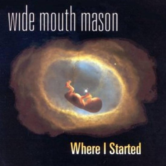 Wide Mouth Mason · Where I Started (LP) (2023)