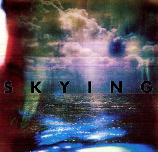 Cover for The Horrors · Skying (LP) [Special Limited edition] (2011)