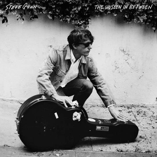 Cover for Steve Gunn · Steve Gunn - The Unseen Inbetween (VINIL) [Standard edition] (2010)