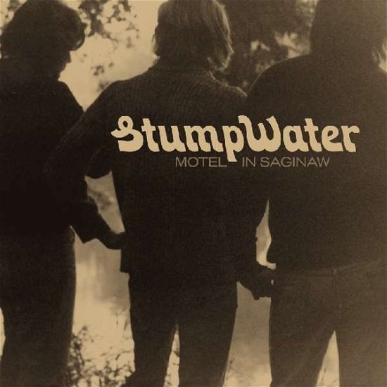 Cover for Stumpwater · Motel In Saginaw (LP) [Standard edition] (2019)