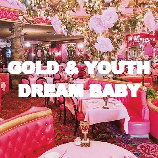 Cover for Gold &amp; Youth · Dream Baby (LP) (2021)