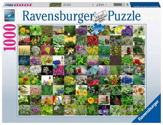 Cover for Ravensburger · 99 Kräuter und Gewürze (Puzzle) (Bok) (2020)