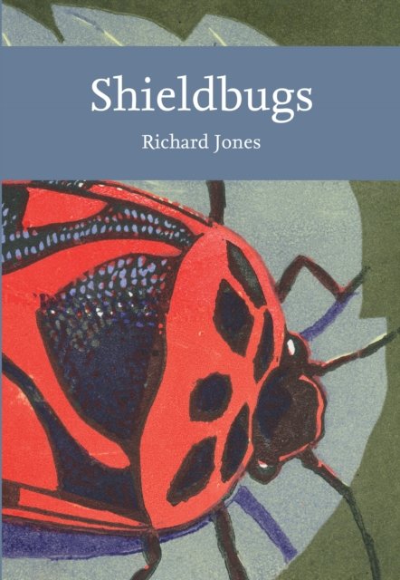 Cover for Richard Jones · Shieldbugs - Collins New Naturalist Library (Pocketbok) (2023)
