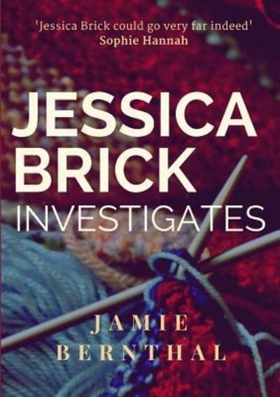 Cover for Jamie Bernthal · Jessica Brick Investigates (Paperback Book) (2017)