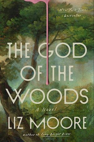 Cover for Liz Moore · The God Of The Woods (Book) (2024)