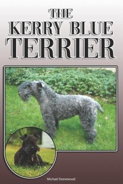 Cover for Michael Stonewood · The Kerry Blue Terrier : A Complete and Comprehensive Owners Guide to (Paperback Book) (2019)