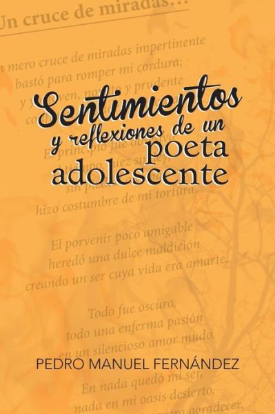 Cover for Pedro Manuel Fernandez · Sentimientos Y Reflexiones De Un Poeta Adolescente (Paperback Book) (2013)
