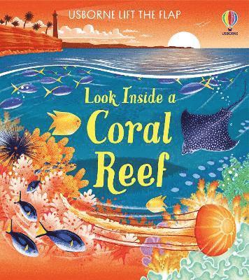 Look inside a Coral Reef - Look Inside - Minna Lacey - Kirjat - Usborne Publishing Ltd - 9781474998918 - torstai 9. kesäkuuta 2022