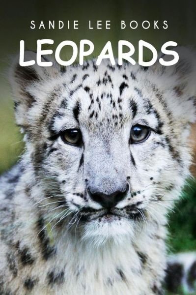 Cover for Sandie Lee Books · Leopards - Sandie Lee Books (Paperback Book) (2014)