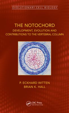 Cover for Witten, P. Eckhard (Ghent University, Belgium) · The Notochord: Development, Evolution and contributions to the vertebral column - Evolutionary Cell Biology (Hardcover Book) (2022)