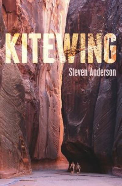Cover for Director and Professor Steven Anderson · Kitewing (Paperback Book) (2016)