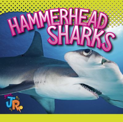 Cover for Marysa Storm · Hammerhead Sharks (Book) (2023)