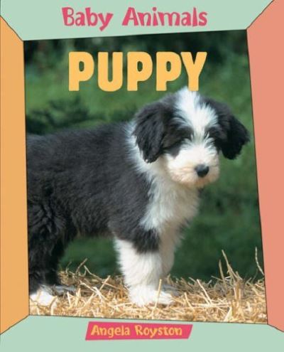 Cover for Angela Royston · Baby Animals Puppy (Paperback Book) (2005)