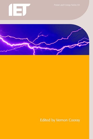The Lightning Flash - Energy Engineering - - Bøger - Institution of Engineering and Technolog - 9781849196918 - 1. august 2014
