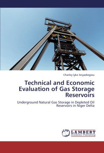Cover for Charley Iyke Anyadiegwu · Technical and Economic Evaluation of Gas Storage Reservoirs: Underground Natural Gas Storage in Depleted Oil Reservoirs in Niger Delta (Paperback Book) (2012)