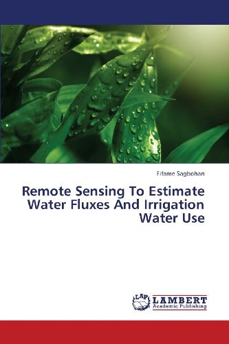 Cover for Fifame Sagbohan · Remote Sensing to Estimate Water Fluxes and Irrigation Water Use (Taschenbuch) (2013)