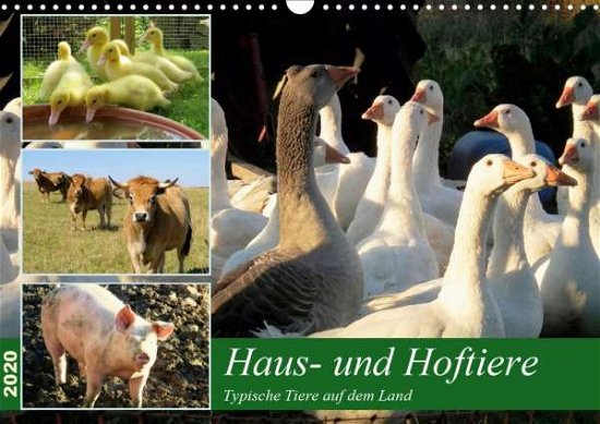 Cover for Löwer · Haus- und Hoftiere (Wandkalender (Bog)