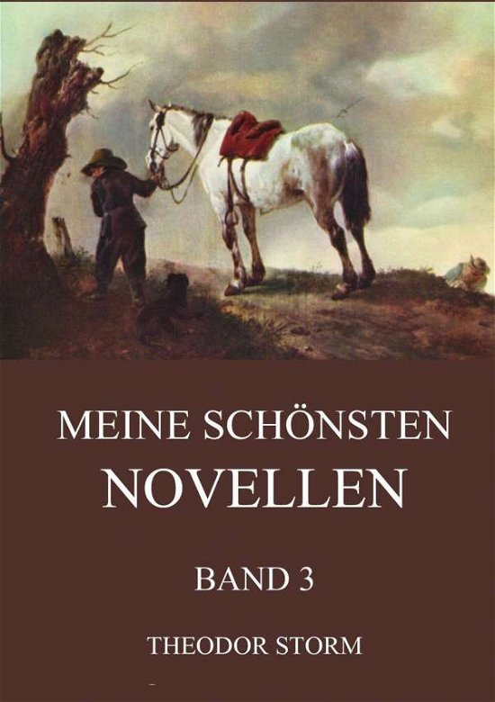 Cover for Storm · Meine schönsten Novellen, Band 3 (Bog)
