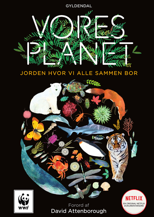 Cover for Matt Whyman · Vores planet (Bound Book) [1. Painos] (2020)