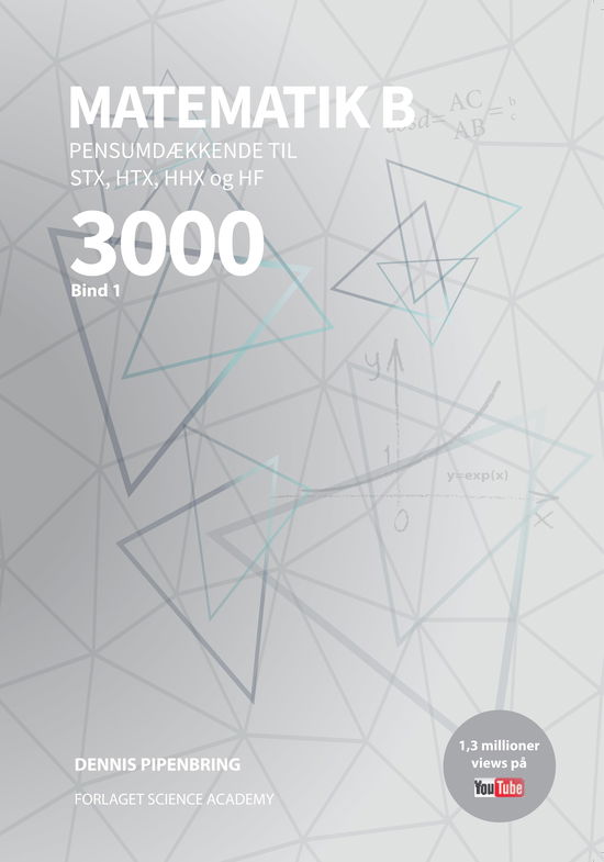 Dennis Pipenbring · Matematik 3000 B Niveau (Taschenbuch) [1. Ausgabe] (2022)