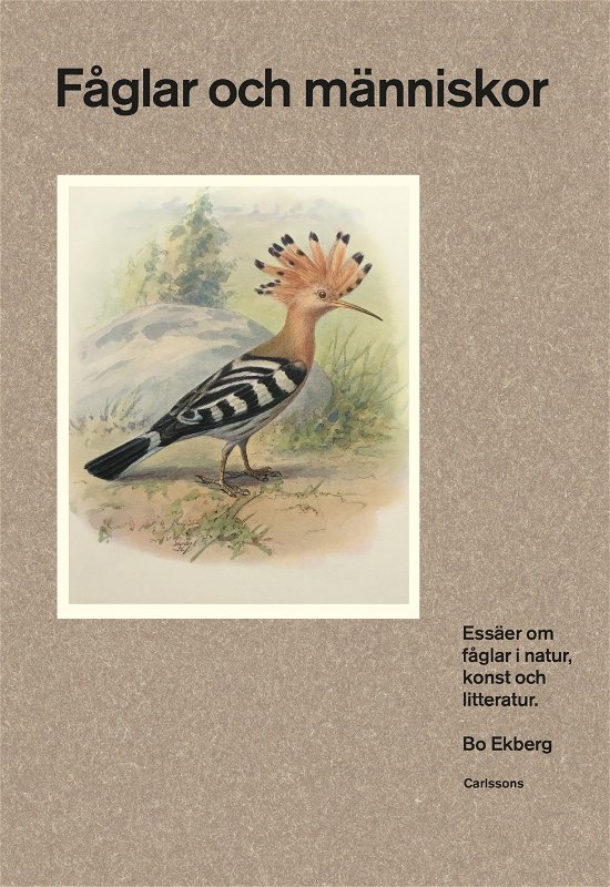 Fåglar och människor  - Essäer om fåglar i natur, konst och litteratur - Bo Ekberg - Bøger - Carlsson - 9789189065918 - 1. august 2023