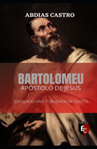 Cover for Abdias Castro · Bartolomeu (Paperback Book) (2020)