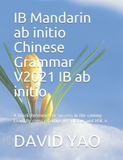 Cover for David Yao · IB Mandarin ab initio Chinese Grammar V2021 IB ab initio ???? (Taschenbuch) (2021)