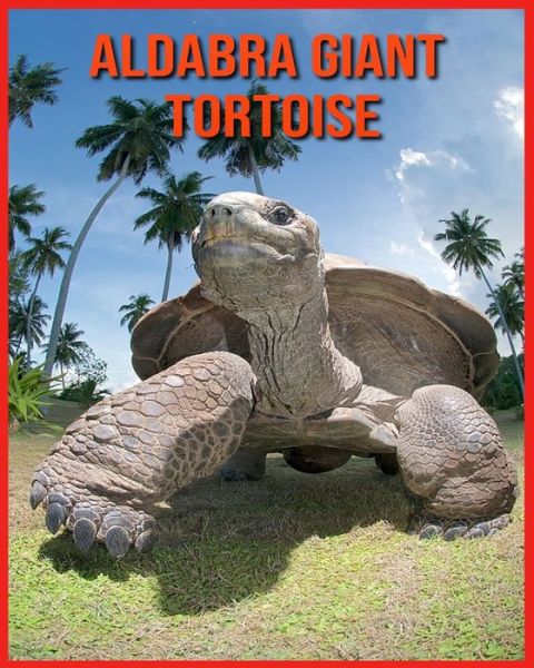 Cover for Linda Davis · Aldabra Giant Tortoise (Paperback Book) (2021)