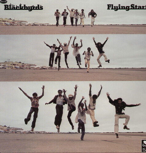 Cover for Blackbyrds · Flying Start (LP) (2010)