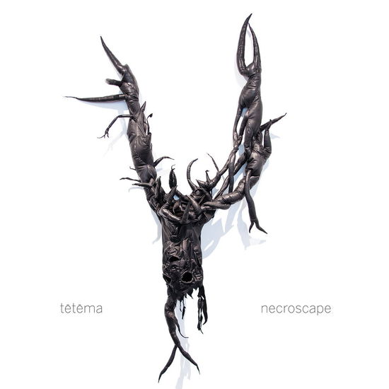 Necroscape - Te-te-ma - Muzyka - IPECAC - 0689230021919 - 3 kwietnia 2020