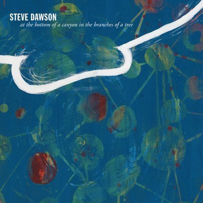 At The Bottom Of A Canyon In The Branches Of A Tree - Steve Dawson - Musiikki - PRAVDA RECORDS - 0727321641919 - perjantai 8. lokakuuta 2021