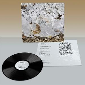 Cover for Tim Barnes · Lost Words (LP) (2025)