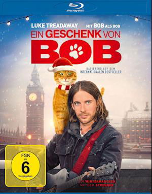 Ein Geschenk Von Bob BD (Blu-Ray) (2021)