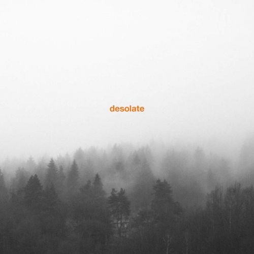 Exceptionalism - Desolate - Musik - FAUXPAS - 4251648414919 - 8. november 2019