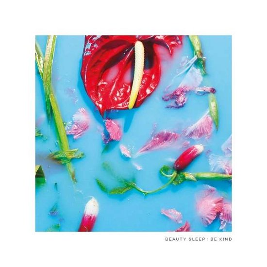 Cover for Beauty Sleep · Be Kind (LP) (2019)