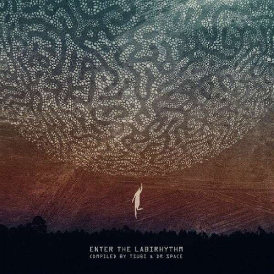 Enter the Labirhythm · Various Artists (CD) (2020)