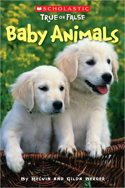 Scholastic True or False: Baby Animals - Gilda Berger - Livres - Scholastic Reference - 9780545003919 - 1 février 2008