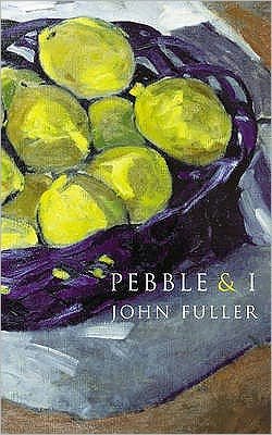 Cover for John Fuller · Pebble &amp; I (Paperback Book) (2010)