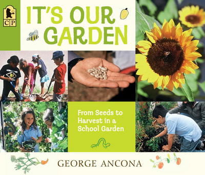 Cover for George Ancona · It's Our Garden: from Seeds to Harvest in a School Garden (Paperback Book) (2015)