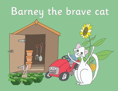 Cover for R M Price-Mohr · Barney the brave cat (Paperback Book) (2020)