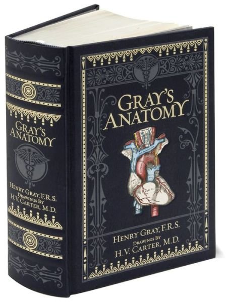 Gray's Anatomy (Barnes & Noble Collectible Editions) - Barnes & Noble Collectible Editions - Henry Gray - Kirjat - Sterling Juvenile - 9781435167919 - maanantai 26. maaliskuuta 2018