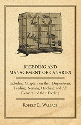 Breeding and Management of Canaries - Including Chapters on Their Dispositions, Feeding, Nesting, Hatching and All Elements of Their Feeding - Robert L. Wallace - Books - Milward Press - 9781447414919 - June 1, 2011