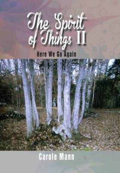 Cover for Carole Mann · The Spirit of Things Ii: Here We Go Again (Hardcover Book) (2014)