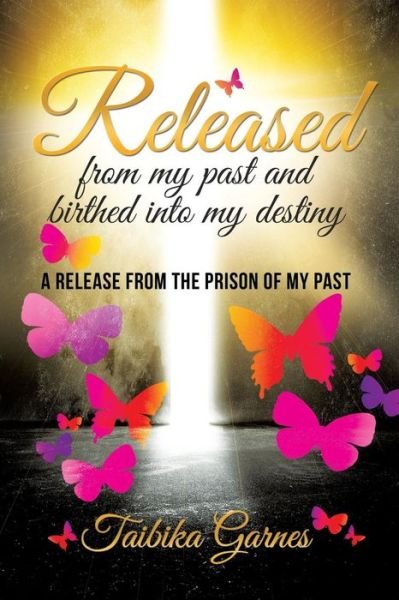 Cover for Taibika Garnes · Released from My Past and Birthed into My Destiny (Paperback Book) (2014)